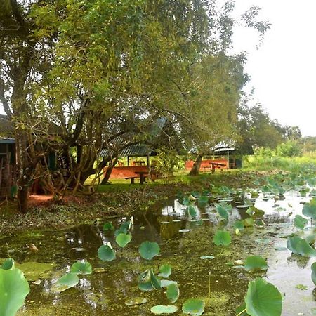 Meegahapokuna Resort Anuradhapura Εξωτερικό φωτογραφία