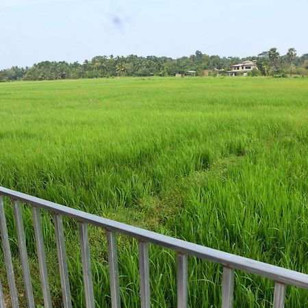 Meegahapokuna Resort Anuradhapura Εξωτερικό φωτογραφία