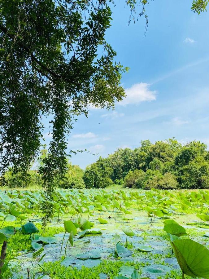 Meegahapokuna Resort Anuradhapura Εξωτερικό φωτογραφία