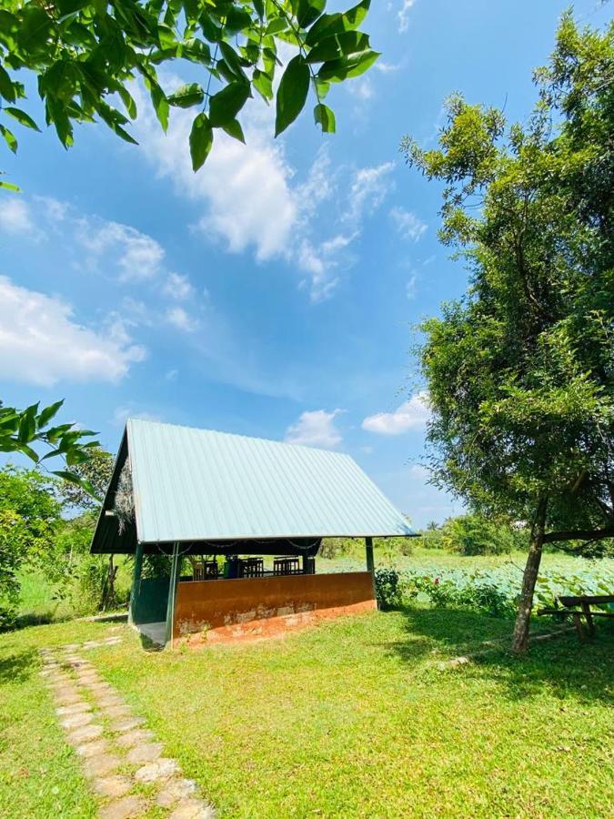 Meegahapokuna Resort Anuradhapura Εξωτερικό φωτογραφία