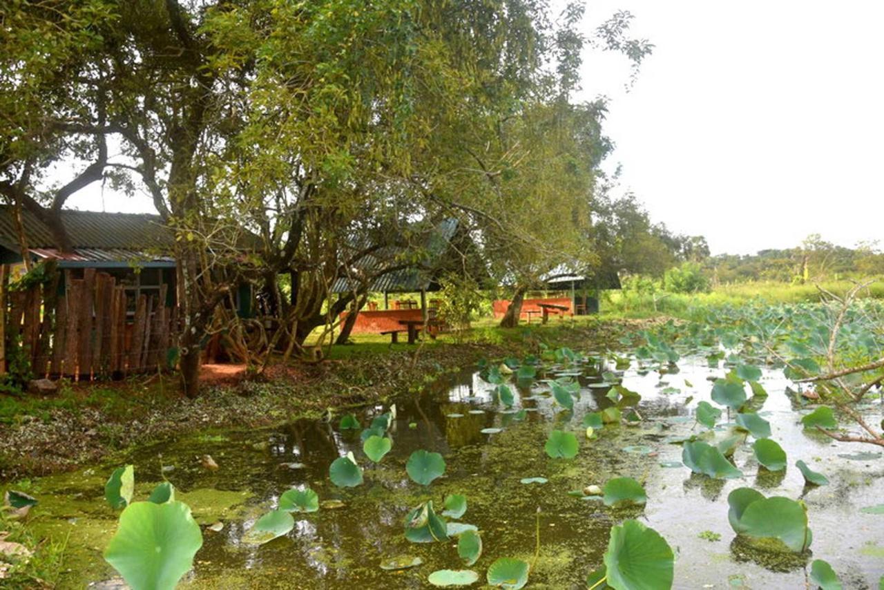Meegahapokuna Resort Anuradhapura Εξωτερικό φωτογραφία