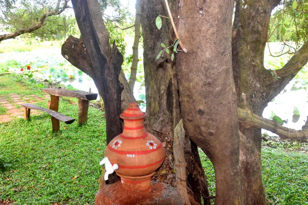 Meegahapokuna Resort Anuradhapura Εξωτερικό φωτογραφία