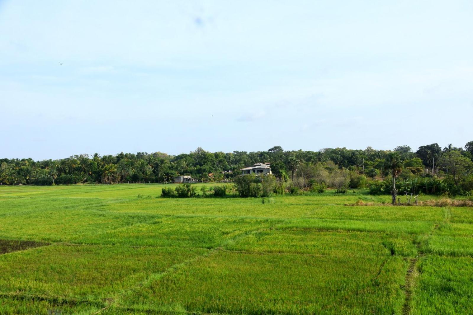Meegahapokuna Resort Anuradhapura Εξωτερικό φωτογραφία