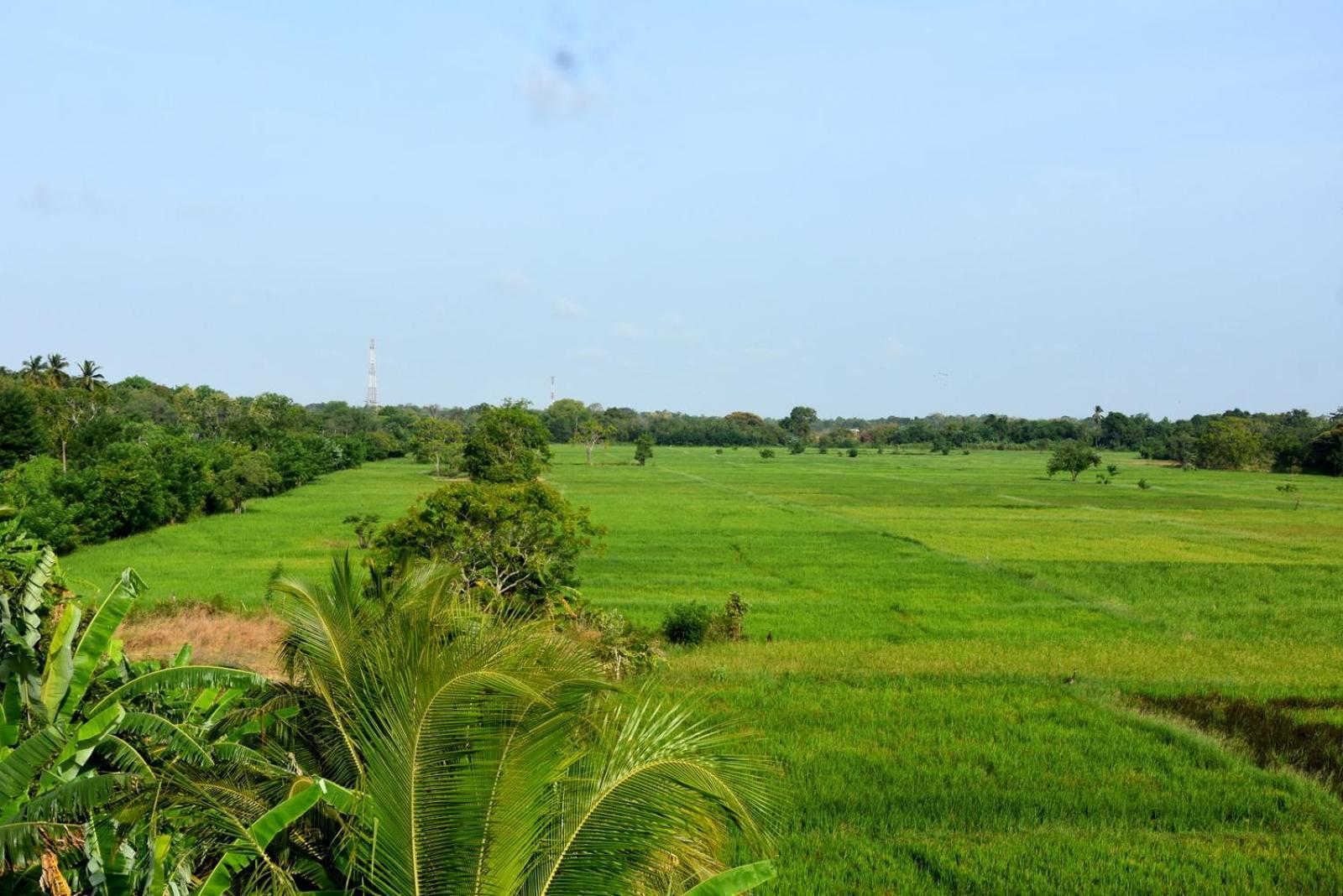 Meegahapokuna Resort Anuradhapura Εξωτερικό φωτογραφία