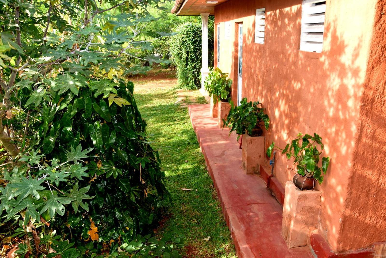 Meegahapokuna Resort Anuradhapura Εξωτερικό φωτογραφία