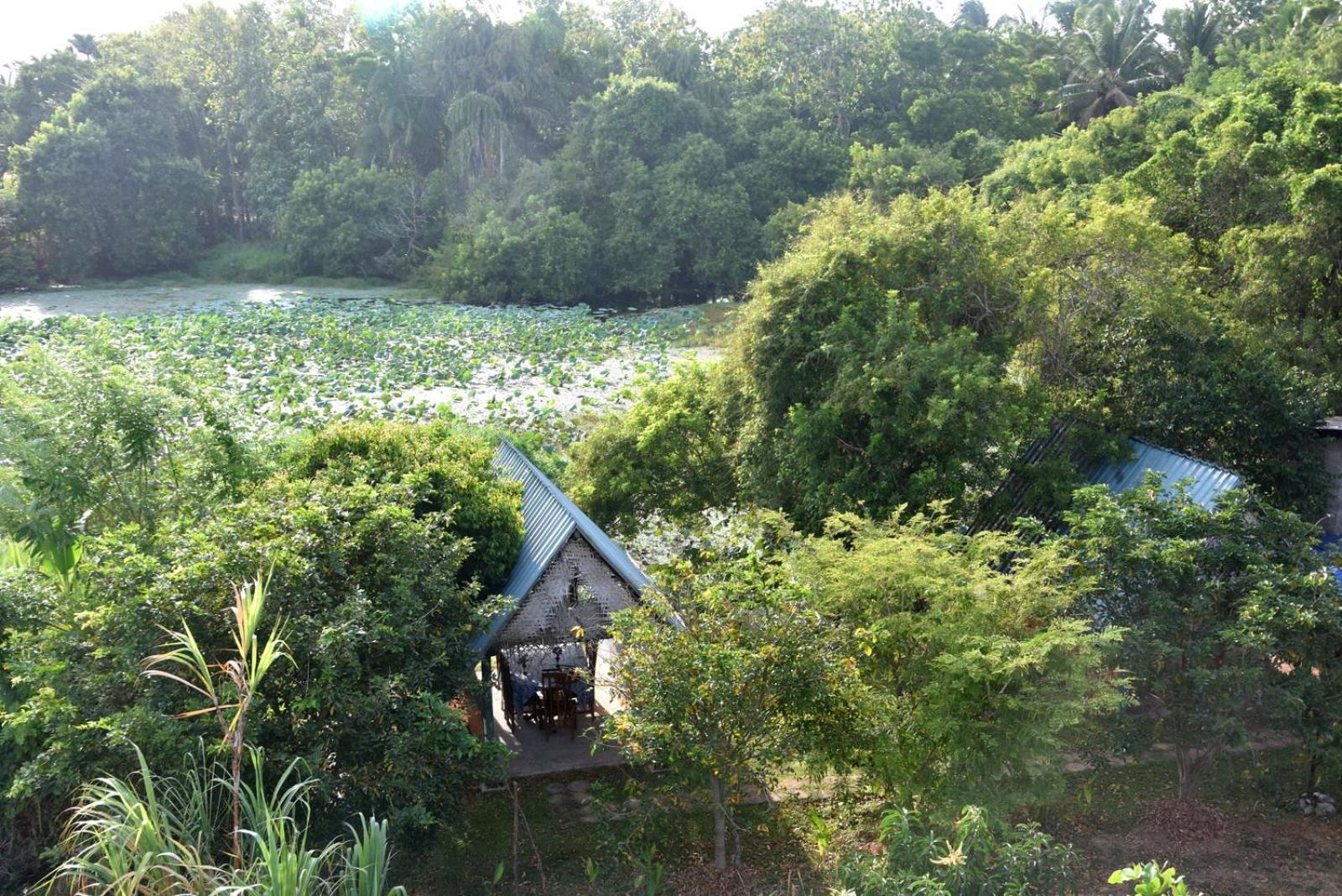 Meegahapokuna Resort Anuradhapura Εξωτερικό φωτογραφία