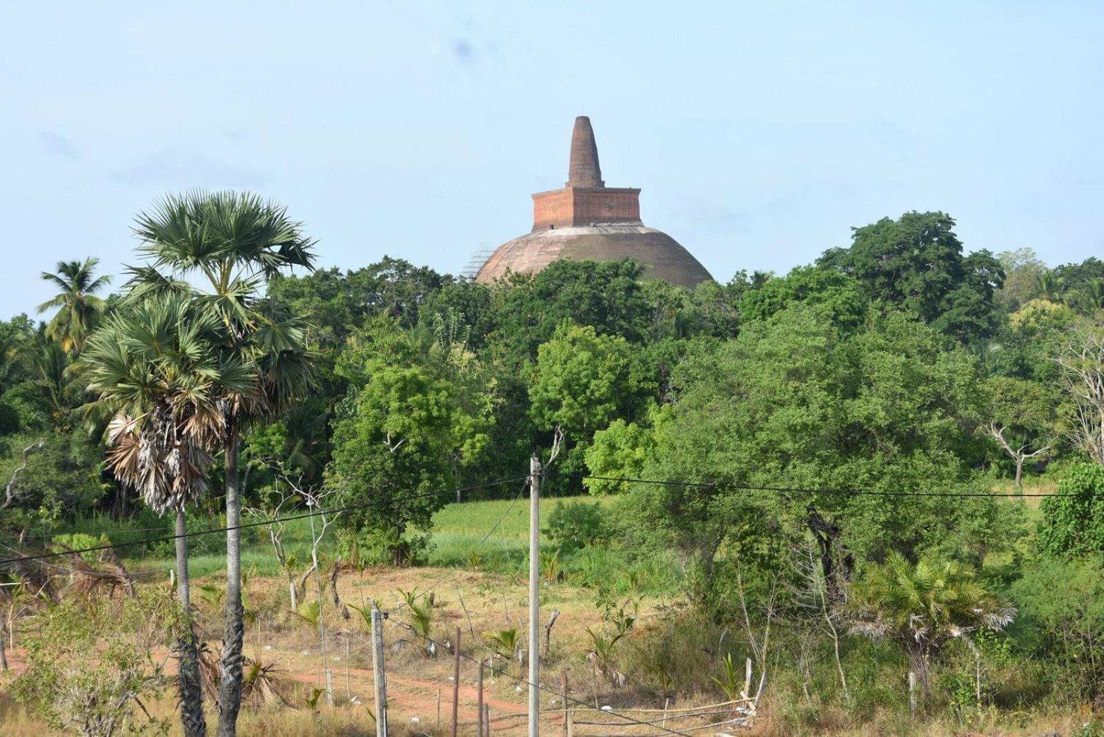 Meegahapokuna Resort Anuradhapura Εξωτερικό φωτογραφία