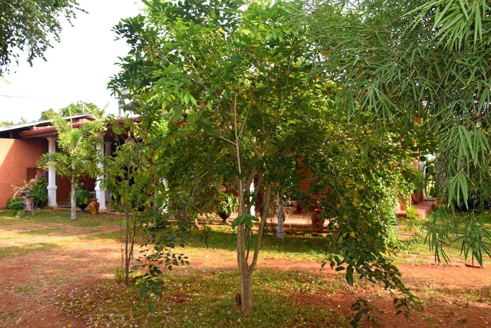 Meegahapokuna Resort Anuradhapura Εξωτερικό φωτογραφία
